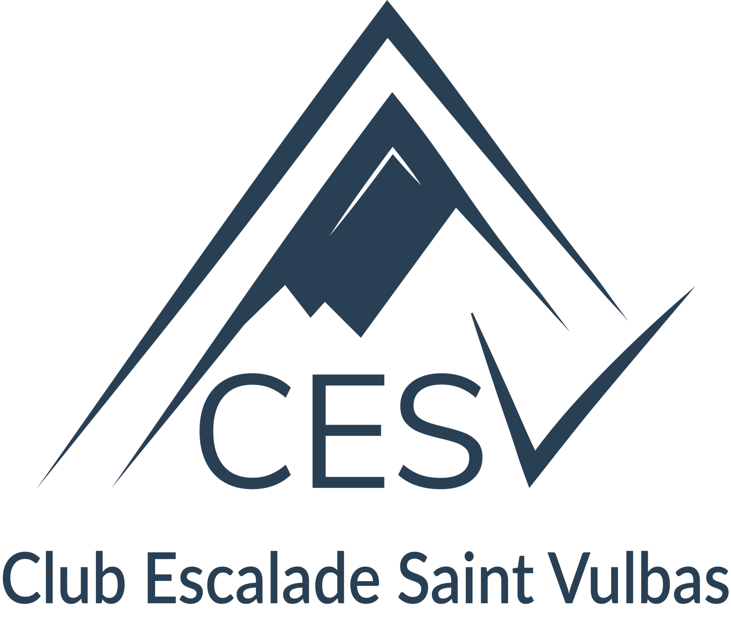 Logo CESV